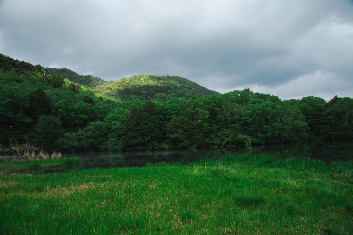 奥日光・湯の湖　2024年６月